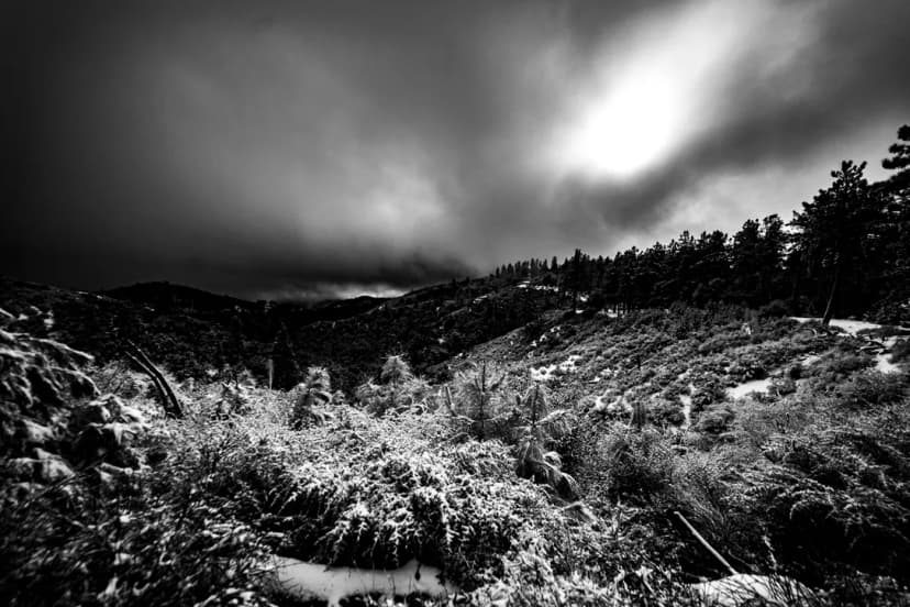 Landscapes